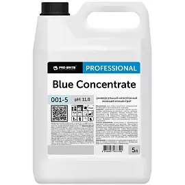 Моющее средство для керамических поверхностей Pro-Brite Blue Concentrate 5 л (концентрат)