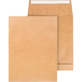 Пакет Largepack С4 (229x324 мм) из крафт-бумаги 100 г/кв.м стрип (200 штук в упаковке)