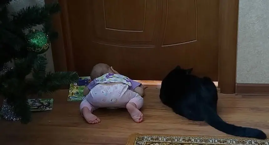 Кот и ребёнок