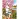 Картина по номерам на холсте ТРИ СОВЫ "Прогулка на велосипеде", 40*50, с акриловыми красками и кистями
