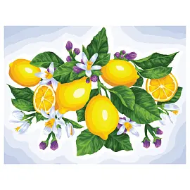 Картина по номерам на холсте ТРИ СОВЫ "Лимоны", 40*50, с акриловыми красками и кистями