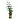 Набор для выращивания растений ВЫРАСТИ ДЕРЕВО! "Гранат обыкновенный" (банка, грунт, семена), zk-014 Фото 1