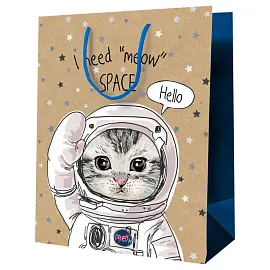 Пакет подарочный 18*23*10см MESHU "Космический кот", крафт