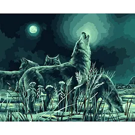 Картина по номерам на холсте ТРИ СОВЫ "Ночная охота", 40*50, с акриловыми красками и кистями
