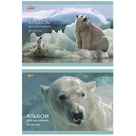 Альбом для рисования №1 School Белый медведь А4 40 листов (2 штуки в упаковке, обложка в ассортименте)