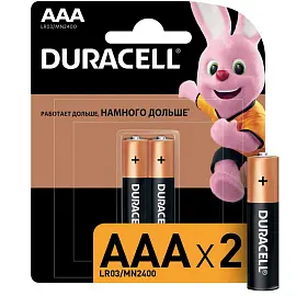 Батарейка ААА мизинчиковая Duracell (2 штуки в упаковке)