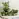 Горшок для цветов Laurel 5 л зеленый 35.4х15.2х15 см Фото 1