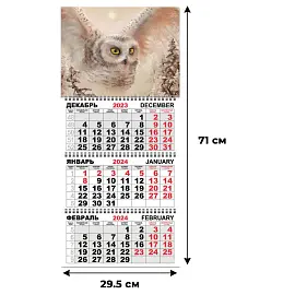 Календарь настенный 3-х блочный 2024 год Трио Стандарт Полет совы (295x710 мм)