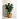 Горшок для цветов Mint 10.7 л терракотовый (31x22.7 см) Фото 0