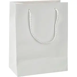 Пакет подарочный ламинир., белый, 18х23х10см, 210гр, PBZ015 white
