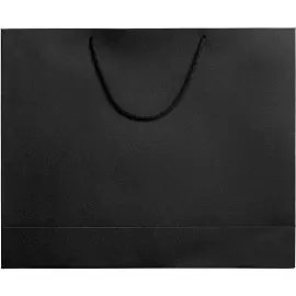 Пакет подарочный бумажный Ample L черный (35х43х12 см)