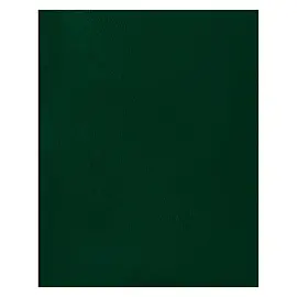 Тетрадь 80л., А4 клетка BG, бумвинил, зеленый