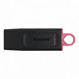 Флеш-память USB 3.2 Gen1 256 Гб Kingston DataTraveler ExodiaG1 (DTX/256GB)