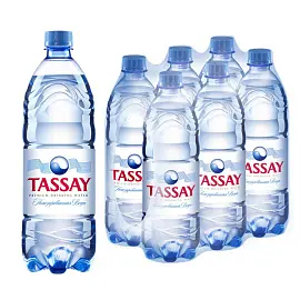 Вода питьевая TASSAY негазированная 1 л (6 штук в упаковке)