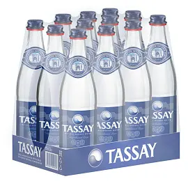 Вода питьевая TASSAY газированная 0,5 л (12 штук в упаковке)