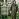 Дождевик плащ цвета хаки на молнии многоразовый с ПВХ-покрытием, размер 56-58 (XXL), рост 170-176, ГРАНДМАСТЕР, 610848