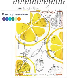 Скетчбук для рисования смешанные техники Полином А4 40 листов (обложка в ассортименте)