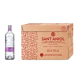 Вода минеральная Sant Aniol газированная 0.75 л (15 штук в упаковке)