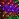 Гирлянда светодиодная уличная Neon-Night Сеть сетка разноцветный свет 160 светодиодов (1х1.5 м) Фото 1