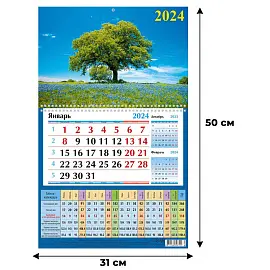 Календарь настенный моноблочный 2024 Летний день с табельн.сеткой,310х500