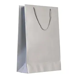 Пакет подарочный бумажный Блеск (35x23x10 см)
