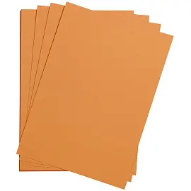 Цветная бумага 500*650мм, Clairefontaine "Etival color", 24л., 160г/м2, ржавый, легкое зерно, 30%хлопка, 70%целлюлоза