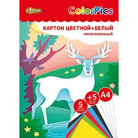 Набор цветного и белого картона №1 School ColorPics (201x282 мм, 10 листов, 5 цветов, немелованый)