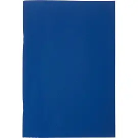 Тетрадь общая А4 96 листов в клетку на скрепке (обложка синяя, офсет-2)