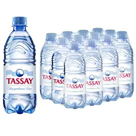 Вода питьевая TASSAY негазированная 0,5 л платиковая бутылка (12 штук в упаковке)