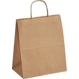 Крафт-пакет бумажный коричневый с кручеными ручками 24x14x28 см 70 г/кв.м био (300 штук в упаковке)