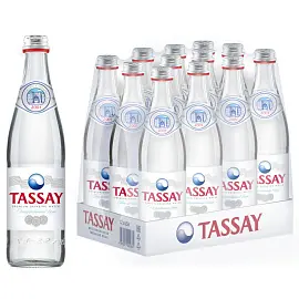 Вода питьевая TASSAY негазированная 0,5 л (12 штук в упаковке)