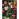 Алмазная мозаика ТРИ СОВЫ "Букет тюльпанов", 30*40см, холст на деревянном подрамнике, картонная коробка с пластиковой ручкой