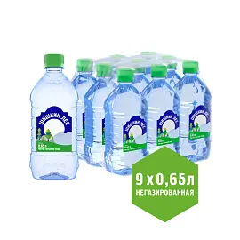 Вода питьевая Шишкин Лес негазированная 0,65 л (9 штук в упаковке)