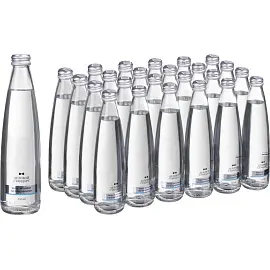 Вода питьевая Деловой Стандарт негазированная 0.33 л (24 штуки в упаковке)