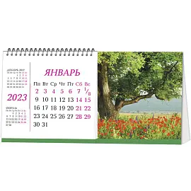 Календарь-домик настольный 2023 год Маковое поле (190х100 мм)