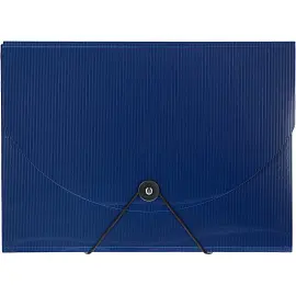 Портфель-картотека пластиковая Комус А4 синяя (303x35x216 мм, 12 отделений)