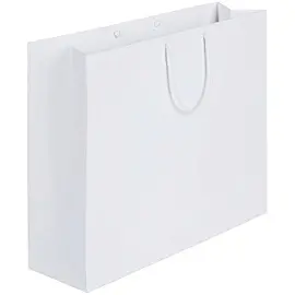 Пакет подарочный бумажный Ample L белый (35х43х12 см)