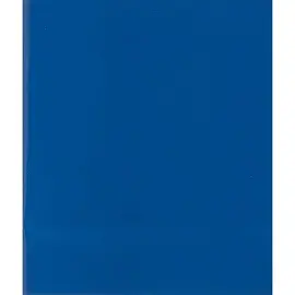 Тетрадь общая А5 48 листов в клетку на скрепке (обложка синяя, офсет-2)
