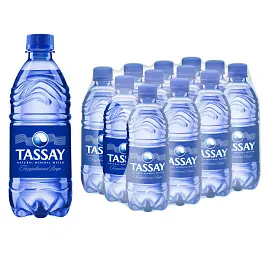 Вода питьевая TASSAY газированная 0,5 л пластиковая бутылка (12 штук в упаковке)