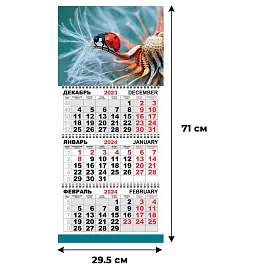Календарь настенный 3-х блочный 2024 год Трио Стандарт Божья коровка (29.5x71 см)