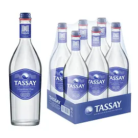 Вода питьевая TASSAY газированная 0,75 л (6 штук в упаковке)