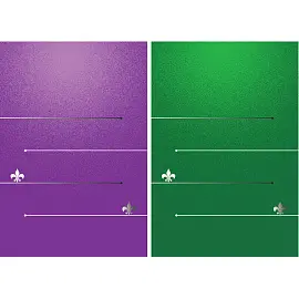 Блокнот А7 40 листов зеленый/фиолетовый в линейку на скобе (75х100 мм)