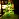 Светильник декоративный неоновый ЗОЛОТАЯ СКАЗКА "Ель", 18.5х26.5х10 см, на батарейках, 591286 Фото 3