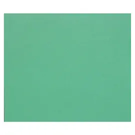 Цветная бумага 500*650мм, Clairefontaine "Tulipe", 25л., 160г/м2, темно-зеленый, легкое зерно, 100%целлюлоза