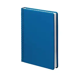 Ежедневник датированный 2024 год Attache Pied-de-poule искусственная кожа Soft Touch А5 136 листов синий