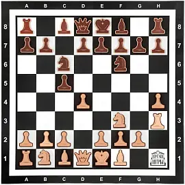 Настенная игра Шахматы демонстрационные магнитные