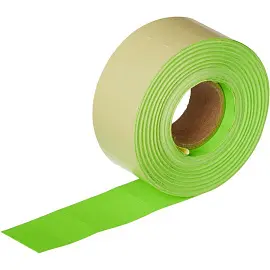 Этикет-лента прямоугольная зеленая 29х28 мм стандарт (10 рулонов по 700 этикеток)