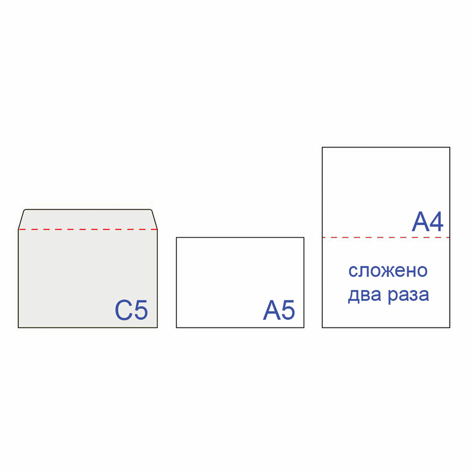 Конверт А4 Подарочный Купить