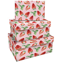 Набор прямоугольных коробок 3в1, MESHU "Strawberry", (19*12*7,5-15*10*5см)