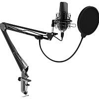 Микрофон Ritmix RDM-169 (80000749)